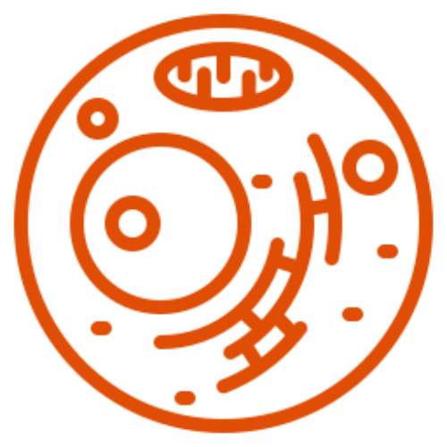 img-icono-naranja-elementos-celulares
