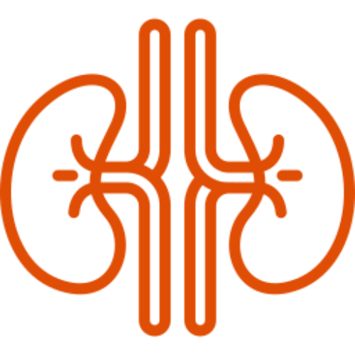 img-icono-naranja-rinones