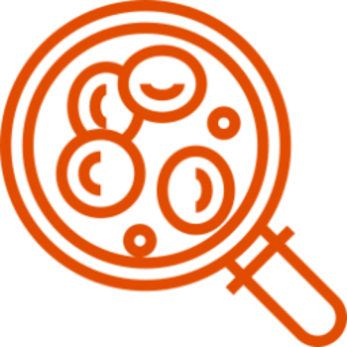 icono-naranja-celulas-sangre