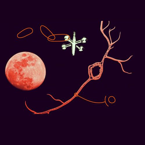 Red doctoral europea (MSCA Doctoral Network) para la formación de la nueva generación de investigadores en NeuroNanotecnología. Cima Universidad de Navarra