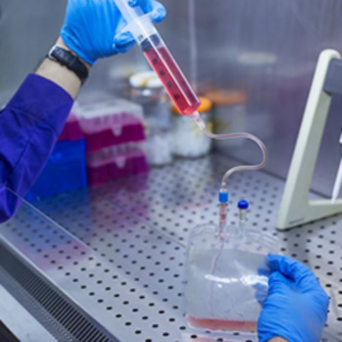 img-laboratorio-medicina-regenerativa