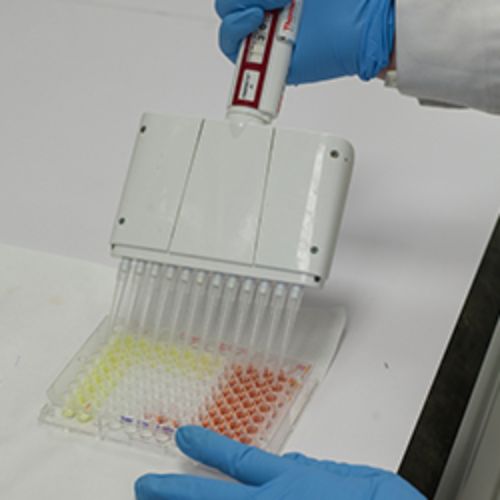 img-destacado-muestras-terapia-genica