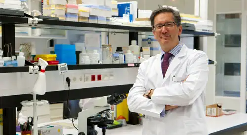 El Dr. Jesús San Miguel Imagen del Dr. Jesús San Miguel, Director Médico de la Clínica Universidad de Navarra